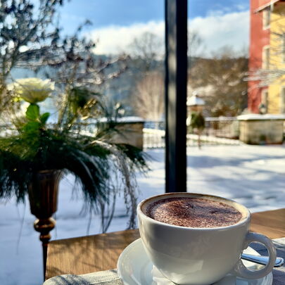 Cappuccino im Restaurant vom Parkhotel Bad Schandau