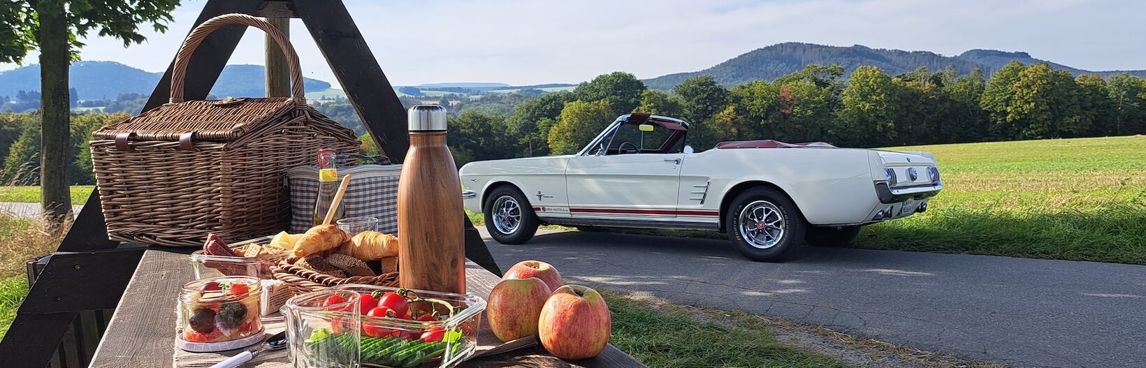 Ford Mustang zum Mieten im Parkhotel in Bad Schandau
