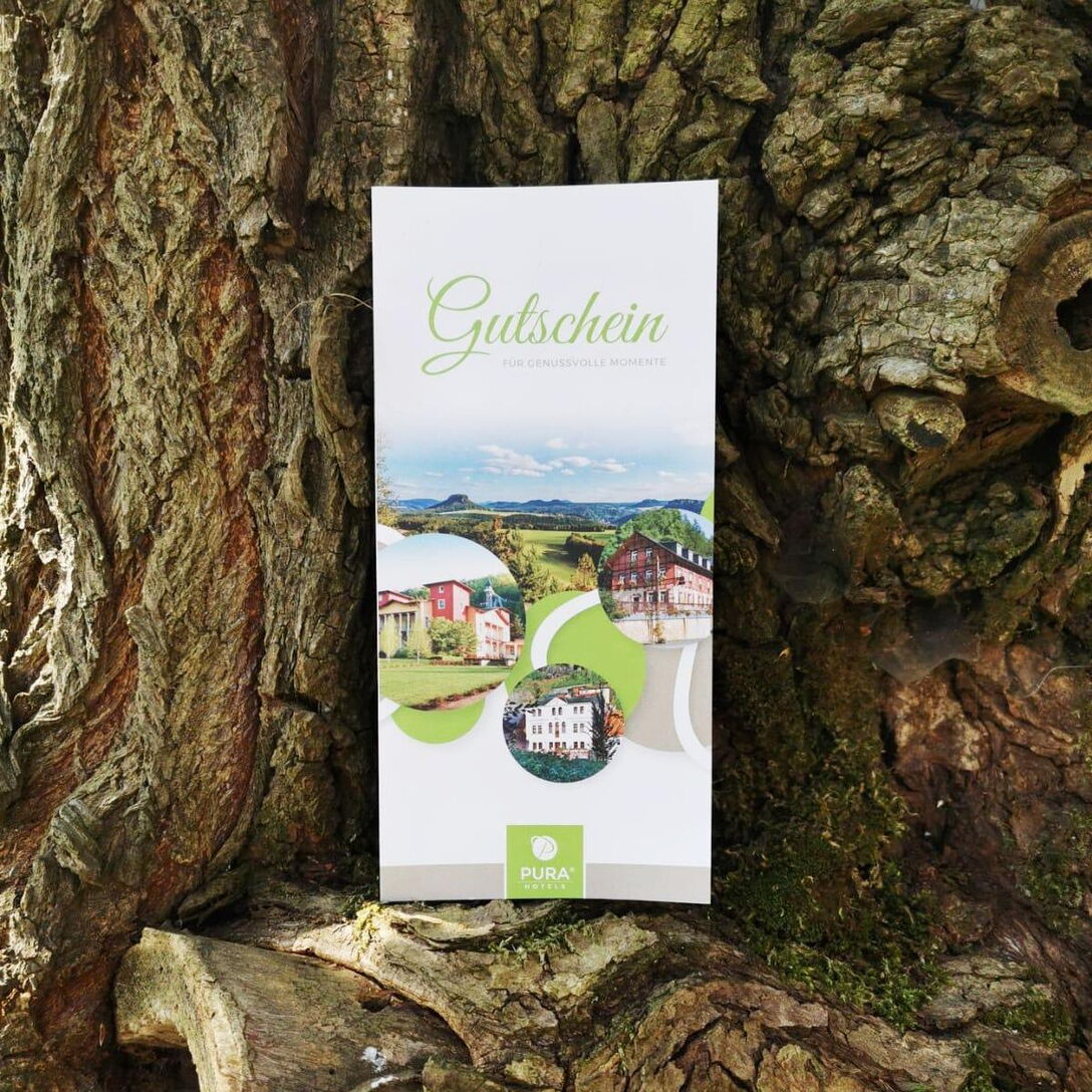 Gutscheine des Parkhotels Bad Schandau
