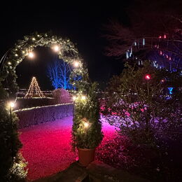 Park der Lichter Bad Schandau - Saunanacht und Terrasse