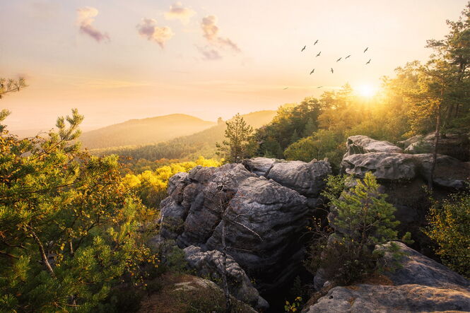 Sächsische Schweiz im Morgenlicht (Sonnenaufgang auf dem Gohrisch)